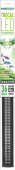 DEN5553