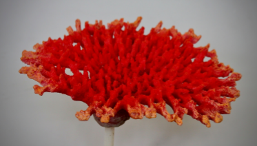 Искуственный коралл Acropoa Hyacinthus 28x26x8