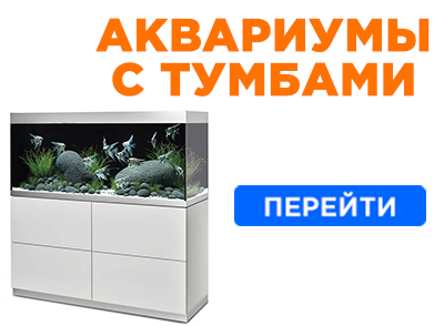 Аквариумы с тумбой