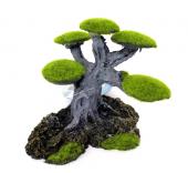 грот дерево а1