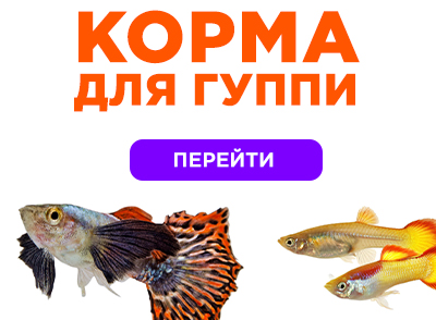 Корма для гуппи Корма для гуппи