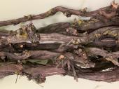 DECO NATURE SOSPEL VINE - Натуральная виноградная лоза, кг