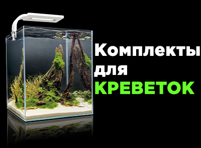 Креветкариумы