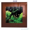 АРГ Аквариум - Картина 35 л (	800х135х600), лампа 18Вт