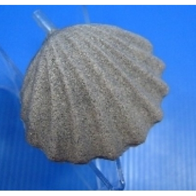 KW Распылитель ракушка, 10 см KW Распылитель ракушка, 10 см