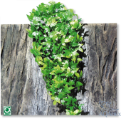 JBL TerraPlanta Congo Efeu - Искусственное подвесное растение для террариумов, 50 см.
