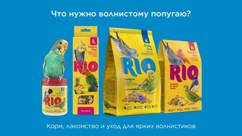 7 компонентов для беззаботной жизни яркого, подвижного и любимого волнистика 7 компонентов для беззаботной жизни яркого, подвижного и любимого волнистика