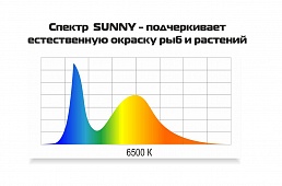 AquaPlus Аквариум фигурный STD LED Ф70 (600х300х460) 62л, цвет БУК, с модулем LEDDY TUBE Sunny 10Вт