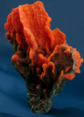 Искуственный коралл Porifera Sp 37x30x15