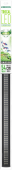 DEN5557