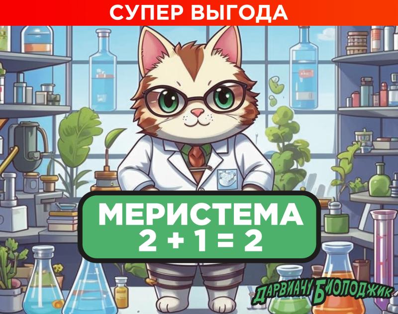 Супер выгода. Меристема в магазине 2 + 1 = 2 Супер выгода. Меристема в магазине 2 + 1 = 2