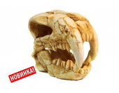 DEKSI Грот Череп динозавра №1002 (20х10х18 см)