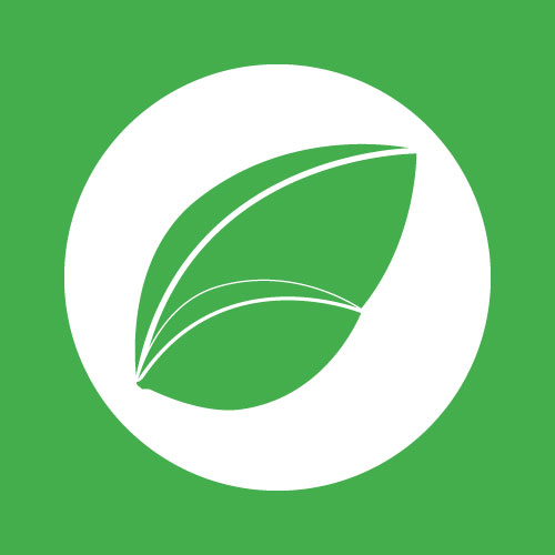 Поступление растений от 16 ноября 2020