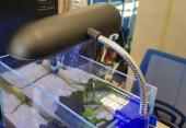 SHANDA Universal clamping lamp - светильник для аквариума 7 Вт