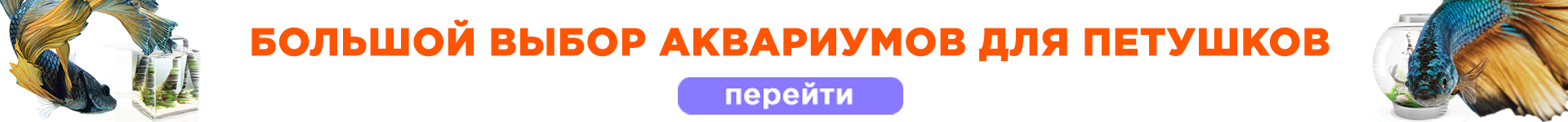 Аквариумы для петушков Аквариумы для петушков