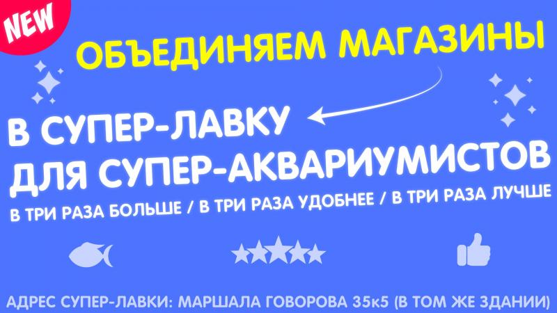 Открываем большой магазин!