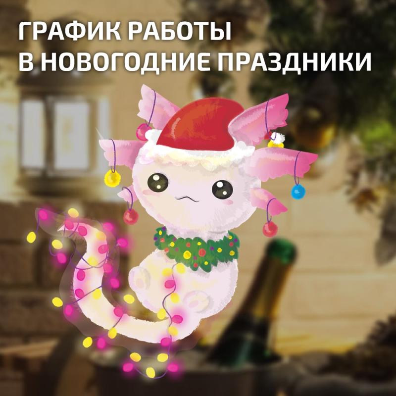 График работы в новогодние праздники