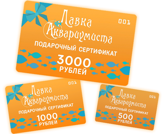 ПОДАРОЧНЫЕ СЕРТИФИКАТЫ ПОДАРОЧНЫЕ СЕРТИФИКАТЫ