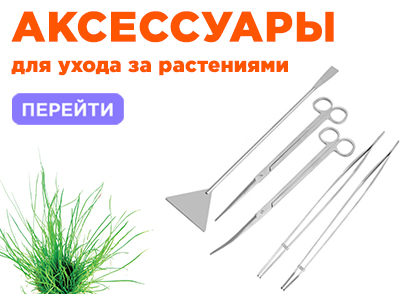 Уход за растениями Уход за растениями