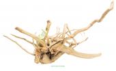 DECO NATURE WOOD AZALEA XXXL - Натуральный корень азалии для аквариума, террариума, от 50 до 59 см