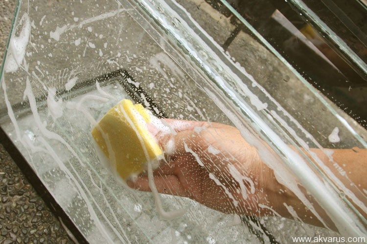 9e7ea9326e26688683869a4b1b02ddd3.jpg 9e7ea9326e26688683869a4b1b02ddd3.jpg