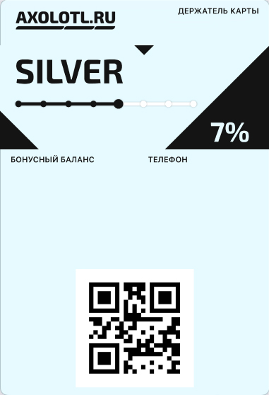 SILVER SILVER