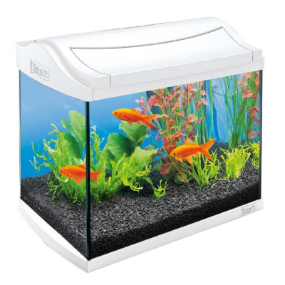 Tetra AquaArt 20l Goldfish Аквариум, комплект, 20 л