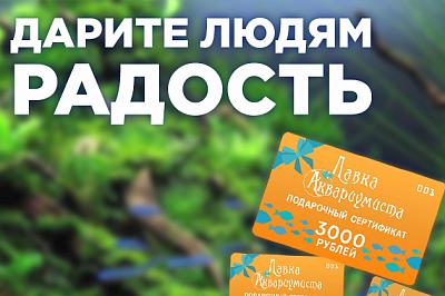 ПОДАРОЧНЫЕ СЕРТИФИКАТЫ