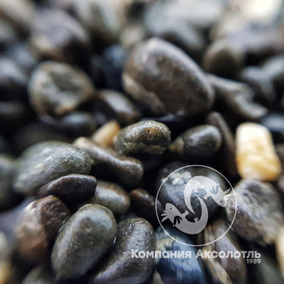 Галька Реликтовая Темная №2 4-7 мм, 5 кг
