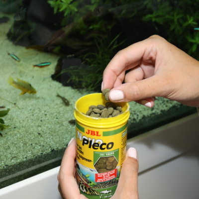 JBL NovoPleco - Водорослевые чипсы с примесью целлюлозы для кольчужных сомов, 1000 мл. (510 г.)