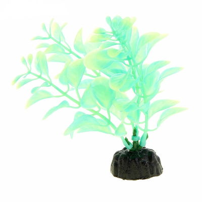 Barbus Растение светящееся в темноте, 10см Plant 057/10