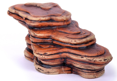 Грот для черепах