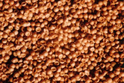 Артемия сухая 500 гр  ( выклев 90%), вакуумный пакет