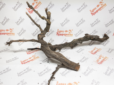 Лоза виноградная, 1кг