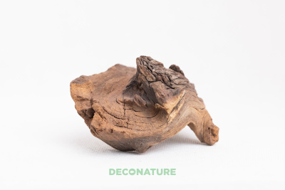 DECO NATURE MOPANE WOOD - Натуральная коряга африканского дерева мопани от 5 до 9 см