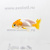 Ранчу Красно-Белый (S) Carassius auratus