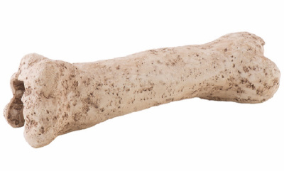 Убежище-декор кость динозавра