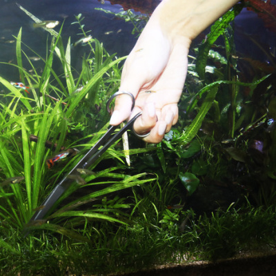 JBL ProScape Tool S curved - Угловые ножницы для ухода за растениями, длина 20 см,2