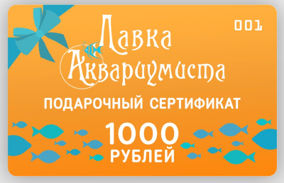Подарочный сертификат 1000 рублей