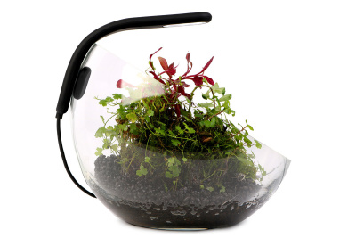 COLLAR Светильник LED AquaLighter Pico Soft black, 10л, 6500К, 1Вт