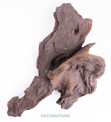DECO NATURE MOPANE WOOD - Натуральная коряга африканского дерева мопани от 20 до 29 см