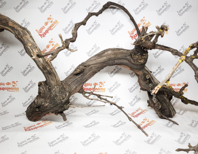 Лоза виноградная, 1кг