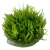 TROPICA Мох везикулария Випинг (меристемное растение) TROPICA Мох везикулария Випинг (меристемное растение)