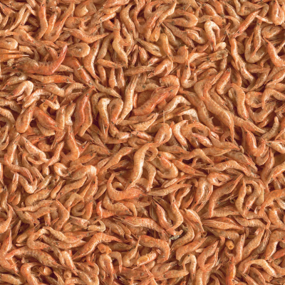 Tetra ReptoMin Delica Shrimps Корм с креветками для водных черепах 1л