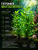 Гигрофила Многосеменная, с грузом