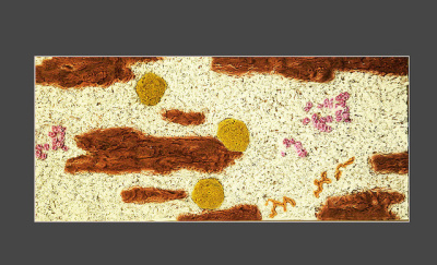 Объемный декоративный фон Red Sea 160х70 см Объемный декоративный фон Red Sea 160х70 см