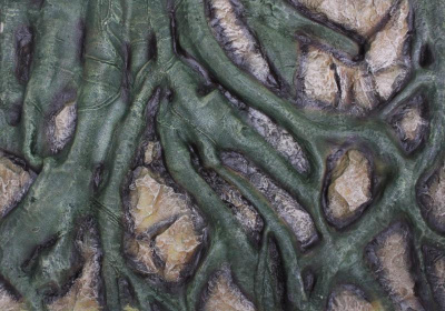 Трехмерный (объемный) фон для аквариума 45х45х5 BJ011C Трехмерный (объемный) фон для аквариума 45х45х5 BJ011C