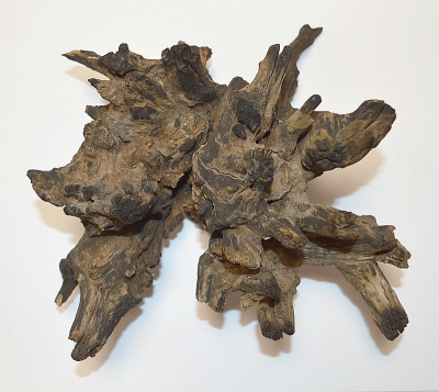 Коряга Magic Drift Wood 30-60 см (DR08/30-60)