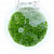 Утрикулярия Граминифолия Grow