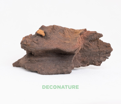 DECO NATURE MOPANE WOOD - Натуральная коряга африканского дерева мопани от 5 до 9 см